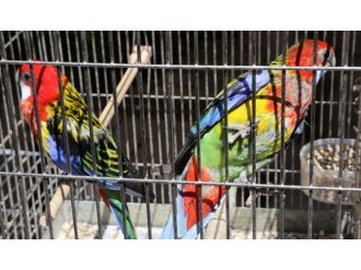 Sınırda bu kez bakın ne yakalandı