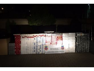 Durdurulan TIR’dan 24 bin paket kaçak sigara ele geçirildi