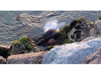 Sahilde 2 ceset bulundu