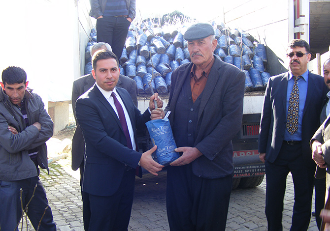 Çiftçilere Ceviz Fidan Dağıtımı Yapıldı