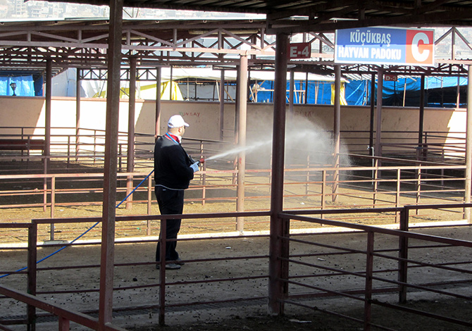 Hayvan Pazarı Kapatıldı