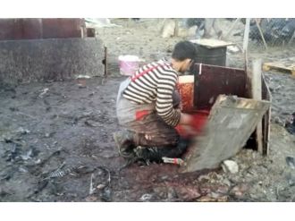 İstanbul’da hindi vahşeti