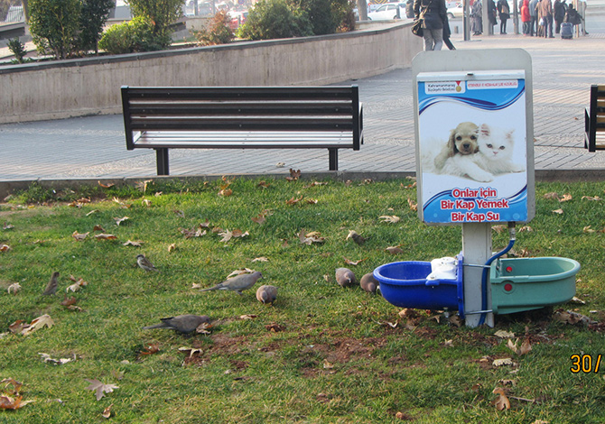 Büyükşehir Kuşları Da Unutmadı