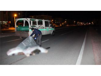 Senegalli öğrenci trafik kazasında hayatını kaybetti