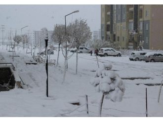 Diyarbakır’da 4 ilçede okullar tatil