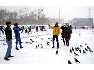 Kimini eğlence kimine işkence