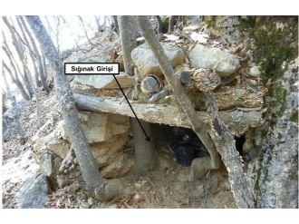 Terörist sığınakları imha edildi