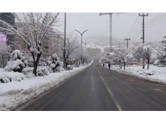 Mardin’de hayat durdu !