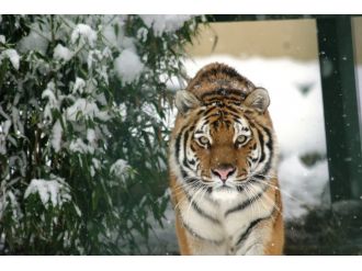 Memleket havası aldı