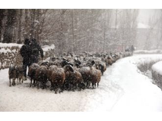 Karla gelen kartpostallık görüntüler