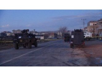 Hain tuzak imha edildi