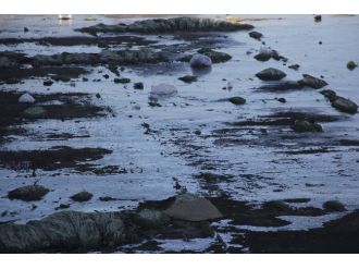 Türkiye’nin en sıcak şehri buz tuttu