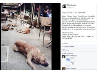 Eskişehir’den ’insanlık’ fotoğrafı