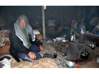 Eksi 3 derecede yaşam mücadelesi