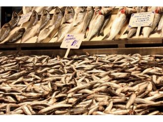 Olumsuz hava balık fiyatlarını da vurdu