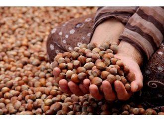 Fındık ihracatı yüzde 22 oranında arttı