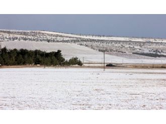 Namlular DAEŞ’e çevrildi