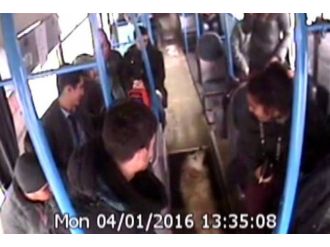 Üşüyen köpek otobüse bindi