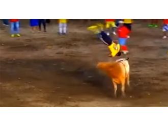 Boğa meydan okumayı fena cezalandırdı