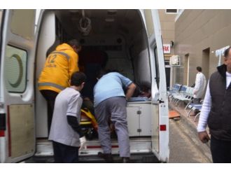 Facianın bilançosu arttı