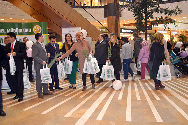 Yeni Yıla Yeni Fidanlar