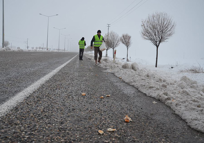 Türkoğlu Belediyesi Aç Kalan Hayvanları Unutmadı