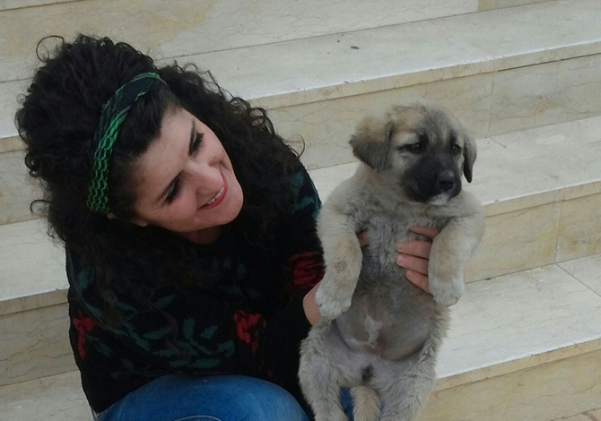 Hayvanları Unutmadılar