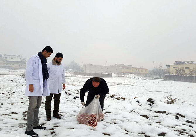 Büyükşehir Sokak Hayvanlarına Yem Bıraktı