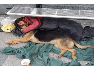 Sokakta kesişen dostluk