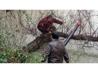 Manavgat Şelalesi’nde can pazarı