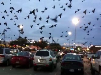 Onlar her yerde, korku filmi değil gerçek !