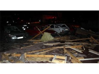 Şiddetli rüzgar ağaç devirdi, çatı uçurdu