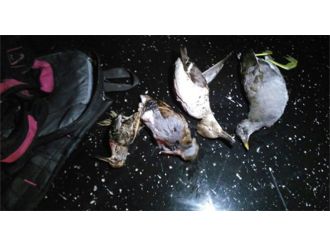 Kaçak avcılara 6 bin 576 TL ceza