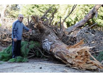 Fırtına hayatı felç etti