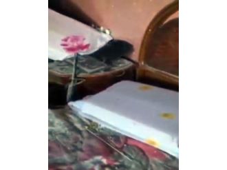 12 PKK’lının öldürdüğü evin görüntüleri ortaya çıktı