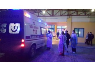 Domuz gribine 6 gün dayanabildi