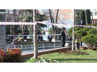 Sultanahmet saldırısında gözaltı sayısı 7 oldu