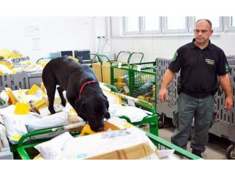 Postadan 16 kilo esrar çıktı