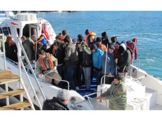 Tam 235 sığınmacı!