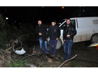 Fırtınanın devirdiği ağaç sonları oluyordu