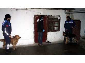 Operasyona 400 polis katıldı