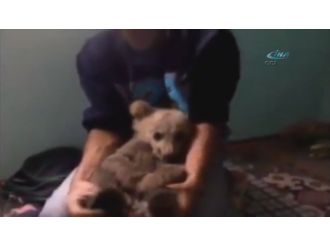 Dağda bulduğu ayıya evini açtı