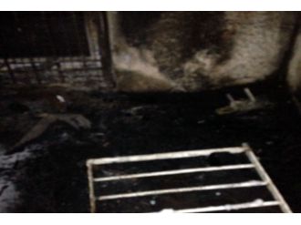 Okul ve kız pansiyonuna molotoflu saldırı