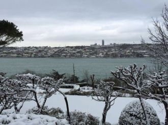 Mustafa Koç en son bu fotoğrafı paylaşmıştı