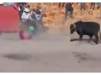 Asabi boğa önüne çıkanı yere serdi