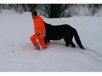 4 gün karda mahsur kalan atı iftaiye kurtardı