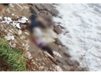 Mülteci botu battı: 13 ölü !