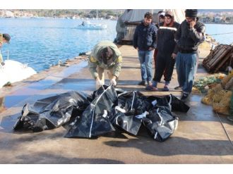 Didim’de facia: 5 ölü !