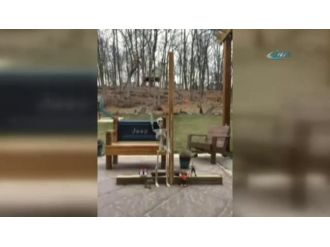 İskelet, cetvel ve kar ! Böylesini görmediniz