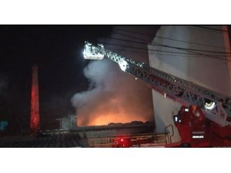 Yem fabrikasında yangın paniği!